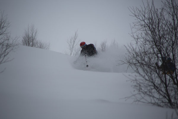 Cheget: Treeskiing 