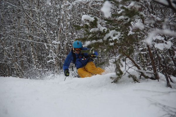 Cheget: Treeskiing 