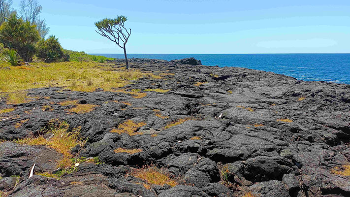 UNE ANCIENNE COULEE DE LAVE AU CAP MECHANT ILET BASSE VALLEE