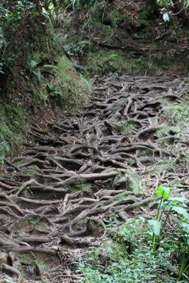 LE SENTIER DU TROU DE FER