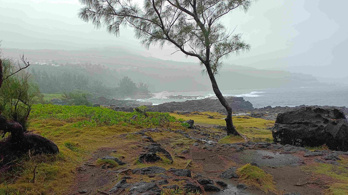 LA COTE SOUS LA PLUIE VUE DU SENTIER DE  CAP JAUNE PRES DE VINCENDO