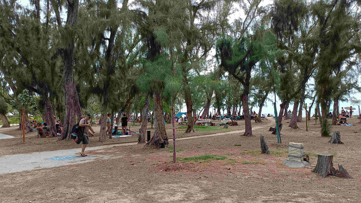 UN DIMANCHE PIQUE NIQUE A LA PLAGE DE L'ERMITAGE LES BAINS