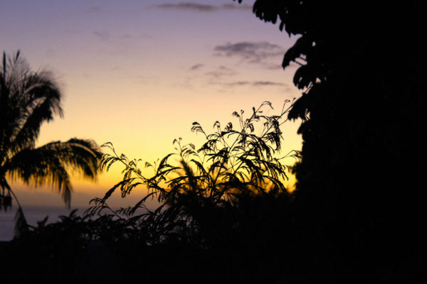 UN COUCHER DE SOLEIL AU LOGEMENT