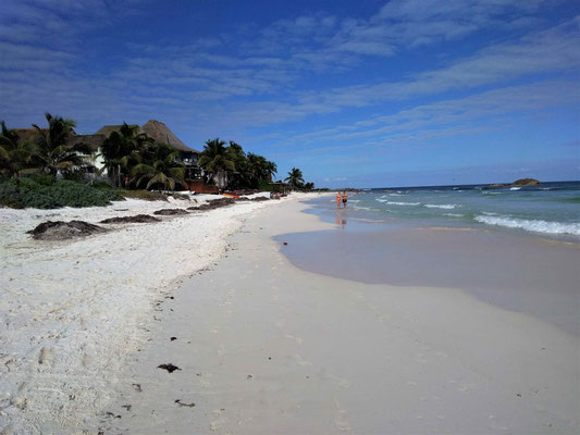  LA PLAGE DE TULUM YUCATAN