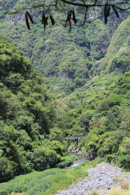  RANDONNEE LE FOND DE LA RIVIERE A L'ENTRE DEUX