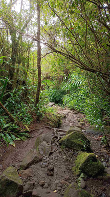 LE SENTIER DE LA CASCADE BIBERON