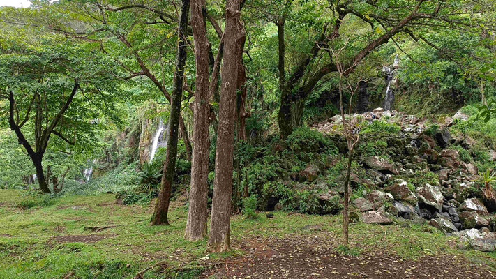 A L'ANSE DES CASCADES A SAINTE ROSE