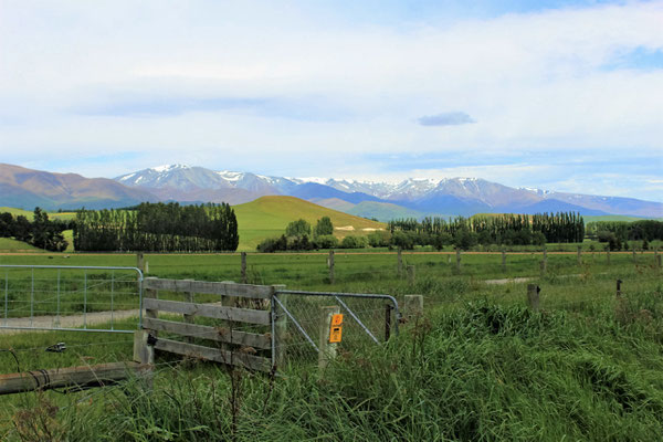 PAYSAGE ENTRE DUNTROON ET OTEMATATA ILE DU SUD NZ