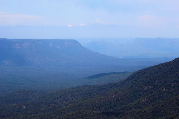  LES BLUES MOUNTAINS DEPUIS SUBLIME POINT LOOKOUT A LEURA LES BLUES MOUNTAINS NP AUSTRALIE