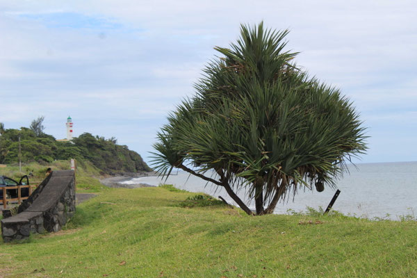 UN VACAO ET LE PHARE DE SAINTE SUZANNE