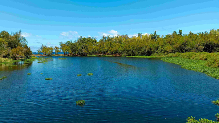RAVINE DE L'ETANG DE SAINT PAUL