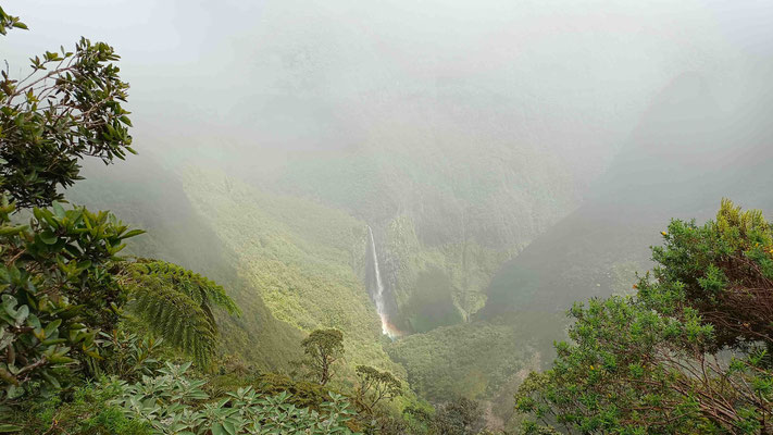  LE TROU DE FER ET SA CASCADE DANS LA BRUME