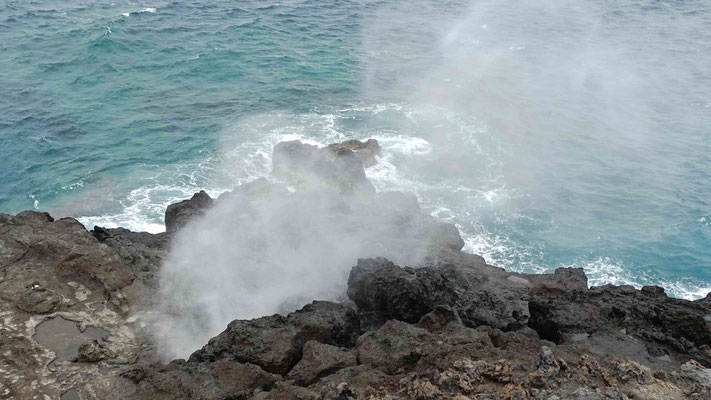 LE SOUFFLEUR DE LA POINTE AU SEL A SAINT LEU