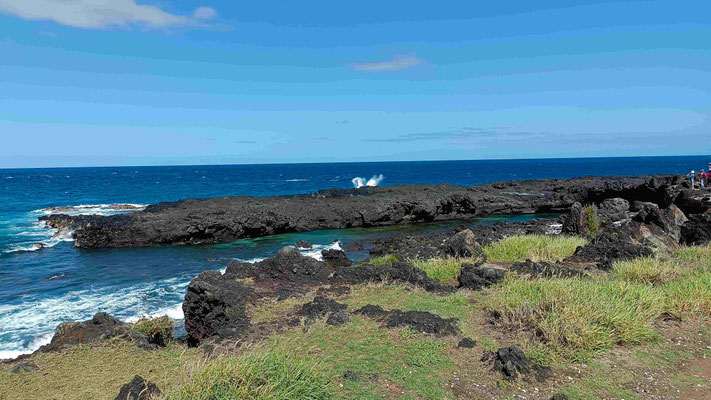 LA POINTE AU SEL PITON SAINT LEU