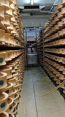 Visite de la coopérative laitière à BEAUFORT un automate nettoie les fromages