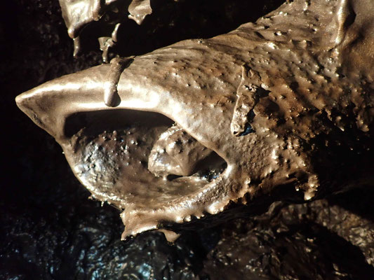 FORME DE TETE DE REQUIN AU TUNNEL DE LAVE DE 2004