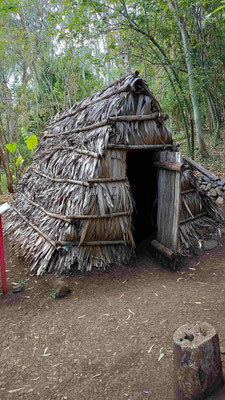 TYPE D'HABITATION AU DEBUT DE LA COLONISATION AU MASCARIN JARDIN BOTANIQUE DE LA REUNION