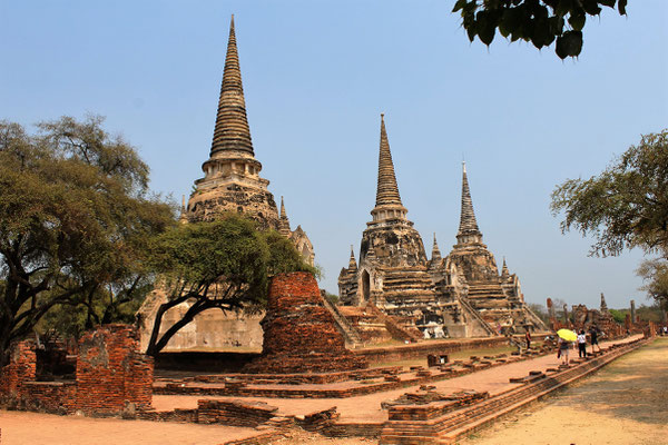  LE TEMPLE WAT PHRA SI SANPHET A AYUTTHAYA THAILANDE