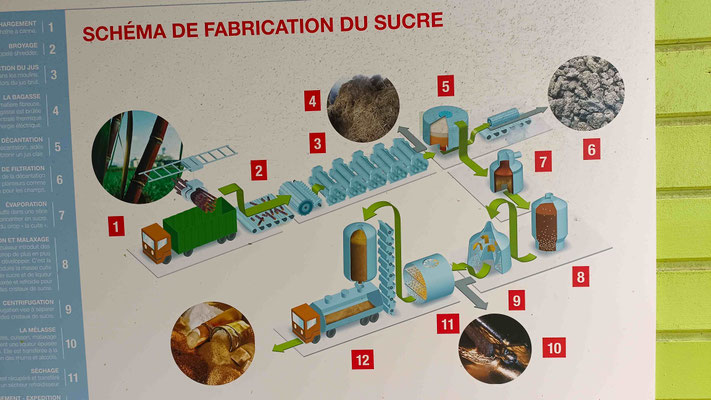  PANNEAU DIFFERENTES ETAPES DE LA FABRICATION DU SUCRE DE CANNE SUCRERIE DU GOL SAINT LOUIS