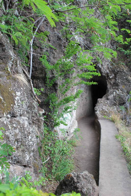 UN APERCU DU SENTIER VERS LE BASSIN MALHEUR A SAINT GILLES LES BAINS