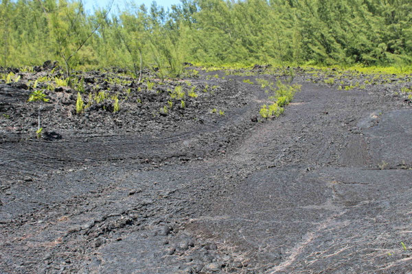 RIVIERE DE LAVE A LA POINTE DE LA TABLE ERUPTION DE 1986 SAINT PHILIPPE