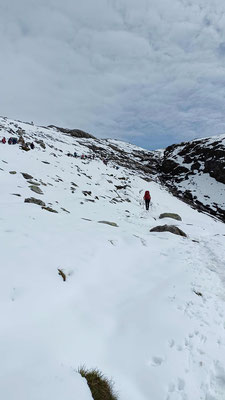 Nous marchons dans la neige entre le col du Bonhomme et le refuge de la Croix du Bonhomme