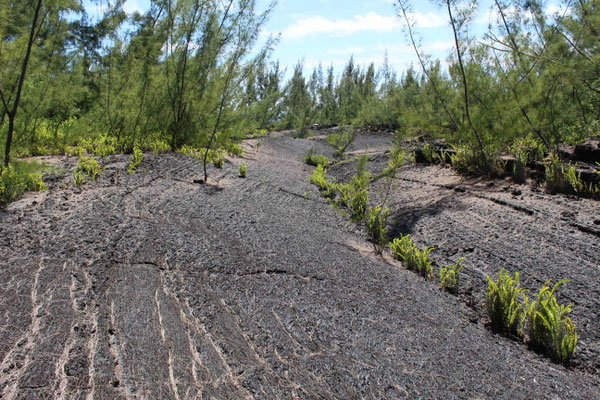 RIVIERE DE LAVE A LA POINTE DE LA TABLE ERUPTION DE 1986 SAINT PHILIPPE