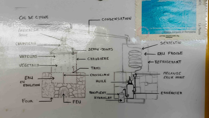 PRINCIPE DE FONCTIONNEMENT D'UN ALAMBIC POUR LES HUILES ESSENTIELLES A LA FONTAINE AROMATIQUE