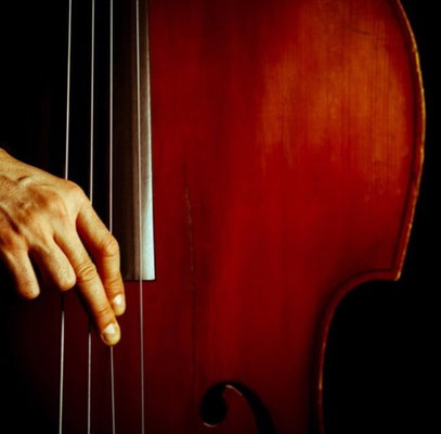 Contrebasse 3