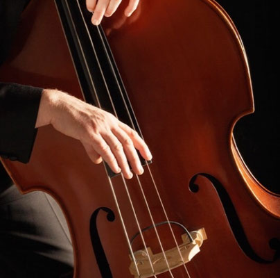Contrebasse 1