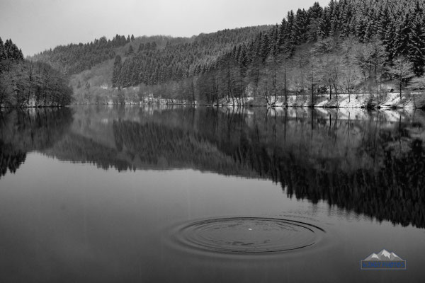 Winter Black and white Lake