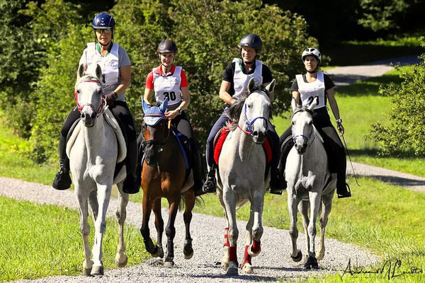 2019, DR Oberembrach, EVG 3 66km mit Pollux - Foto Andrea Leicht