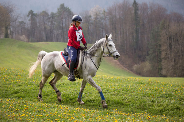 2019, DR Liesberg, EVG 2 52km mit Miss Kiss - Foto von Lea Styger 