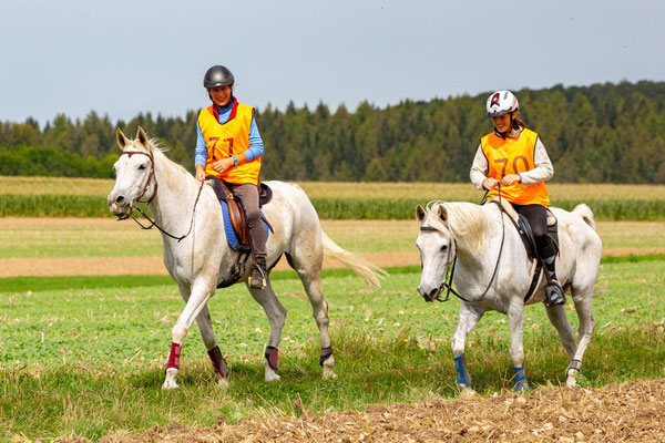 KDR Kitzesberg 50km mit Itir