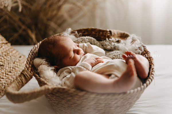 photographe bebe sarreguemines
