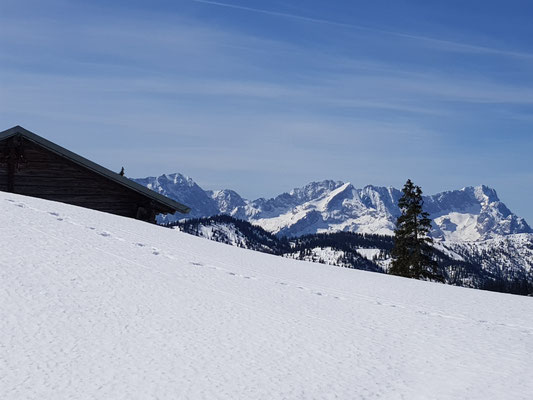 Krüner Alm mit Alpspitze