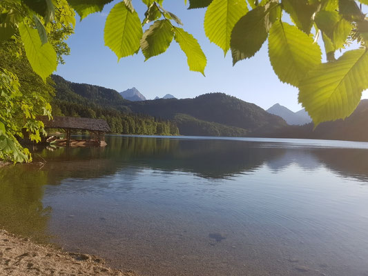 Alpsee