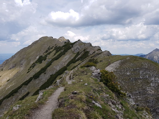 Rückblick zum Entschenkopf