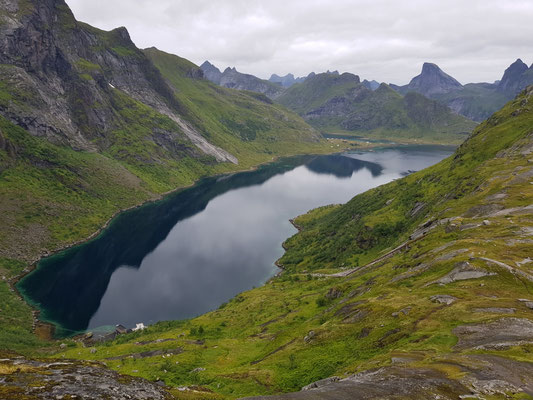 Forsfjord von oben