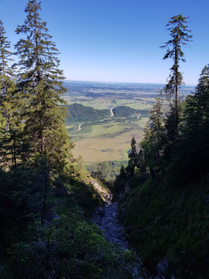 Blick Richtung Murnauer Moos