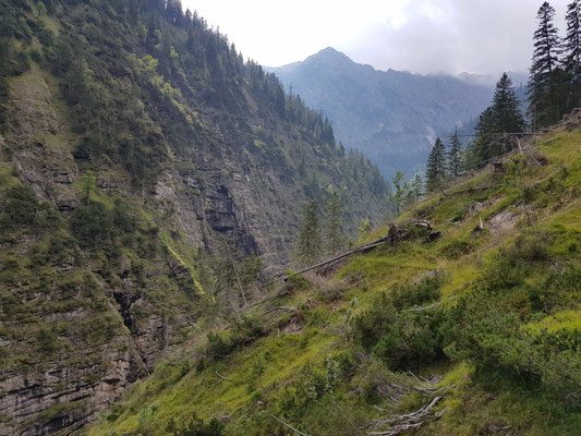 Im Kuchelbachtal, Blick talein