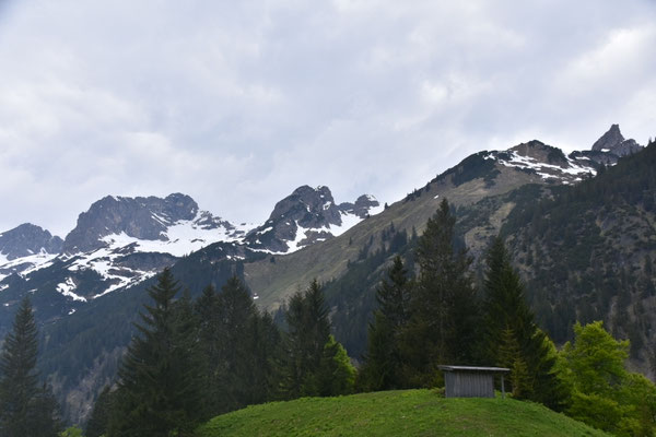 Blick von der Petersalpe zum Roßgundkopf