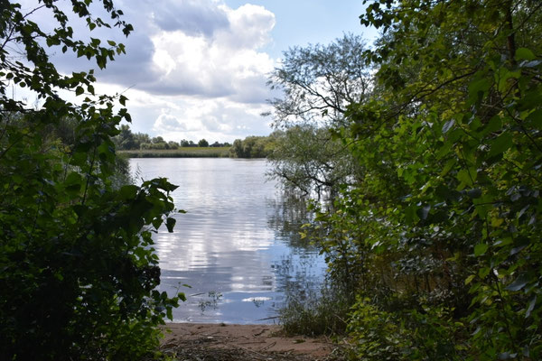 Süderelbe