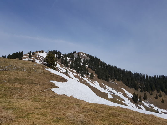 Rückblick zum Fockenstein