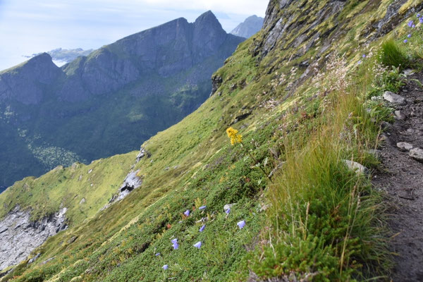 Blick zum Munken