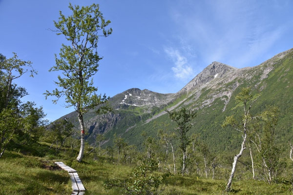 Løbergdalen