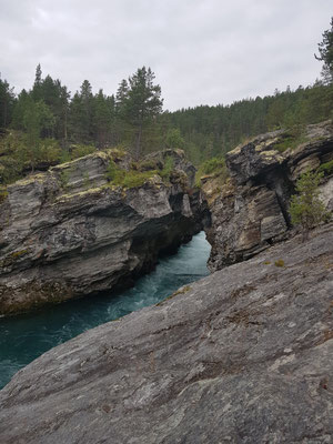 Ridderspranget