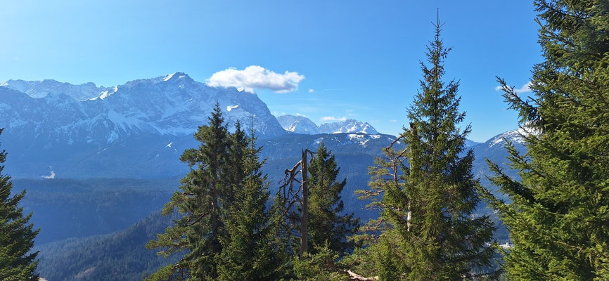 Höhe 1700m