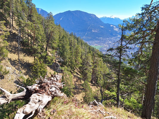 Blick zum Wank und der Soierngruppe
