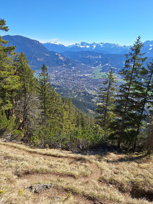 Blick über den Pfad auf Garmisch